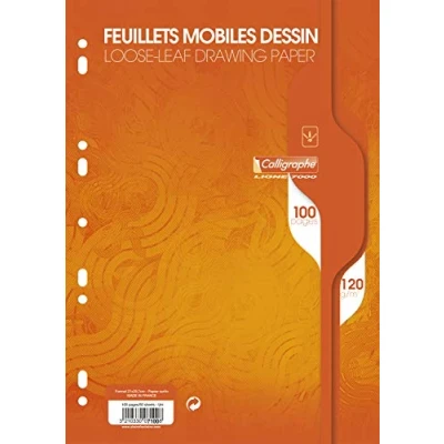 Afbeelding van Clairefontaine Kalligrafie 7000 7100C Verpakking van 100 A4 Hole Punched Losbladig Papier Vellen in Film 120 g Wit
