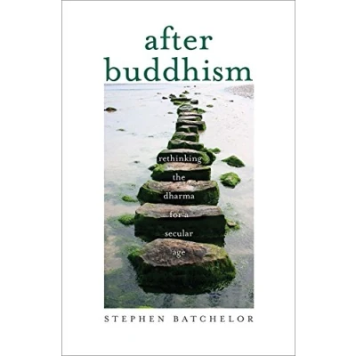 Afbeelding van After Buddhism
