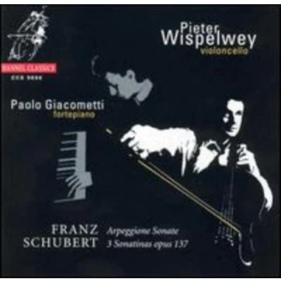 Afbeelding van Pieter Wispelwey &amp; Paolo Giacometti Schubert: Arpeggione Sonate/3 Sonatinas Op.13 (CD)