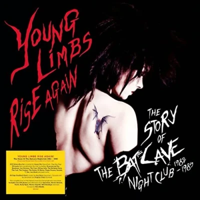 Afbeelding van Young Limbs Rise Again