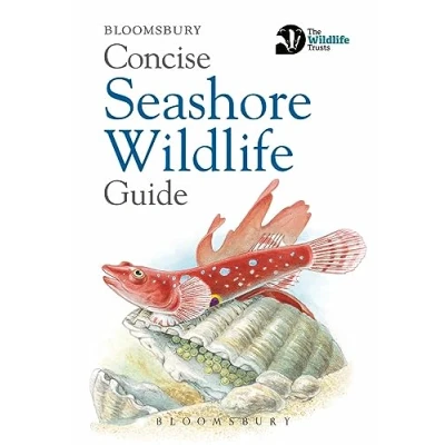 Afbeelding van Concise Seashore Wildlife Guide