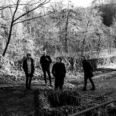 Afbeelding van Everything About (LP)