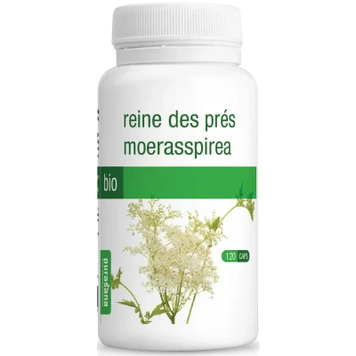 Image de Moerasspirea (120 Capsules)