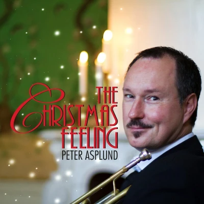 Afbeelding van Various Artists The Christmas Feeling (CD)