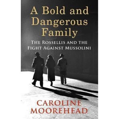 Afbeelding van A Bold and Dangerous Family