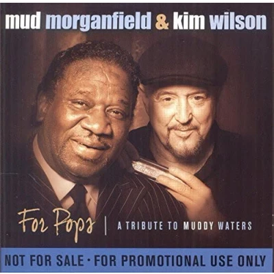 Afbeelding van For Pops: A Tribute To Muddy Waters