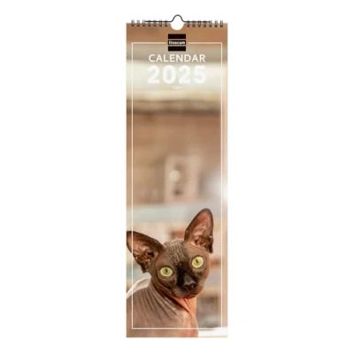 Afbeelding van Finocam Muurkalender met spiraal, 15 x 48 cm, internationaal, 2025, 1 maand per pagina januari 2025 december (12 maanden), internationale katten