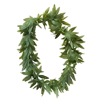 Afbeelding van WIDMANN Rasta cannabis bladeren ketting voor volwassenen Accessoires &gt; Sieraden