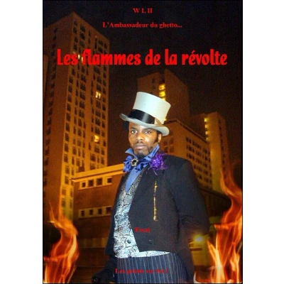Image de Les flammes de la révolte