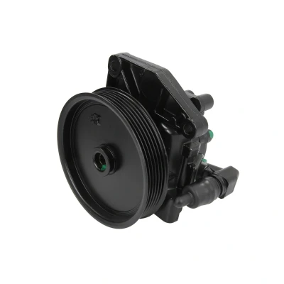 Afbeelding van Lauber Servopomp 55.9935