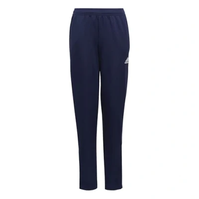 Afbeelding van adidas ENT22 TR PNT Y Pants (1/1) Unisex Kids, TENABL, 128