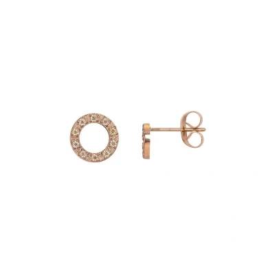 Afbeelding van Ear studs Circle stone 10mm Rose