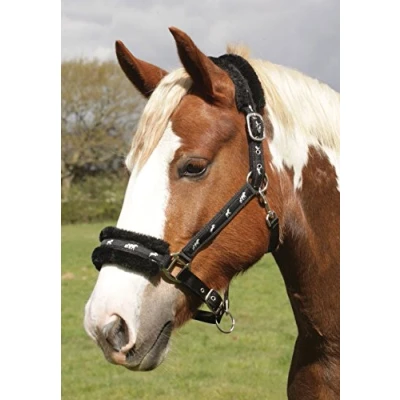 Afbeelding van Rhinegold Hoofdstel met fleece rand logo cob pony rood