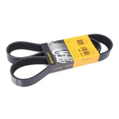Afbeelding van Contitech Poly V riem 8PK1226