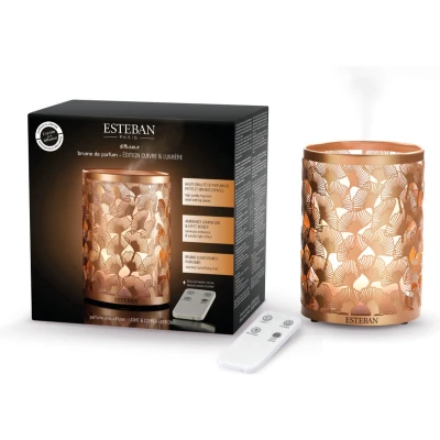 Afbeelding van Esteban Mist Diffuser Light &amp; Copper Edition