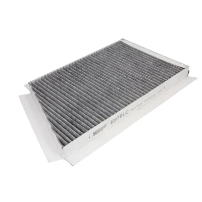 Afbeelding van HENGST filter E970LC Interieurfilter Carbon 275 190 26 MERCEDES BENZ: C Class Saloon, T modell, CLK Coupe