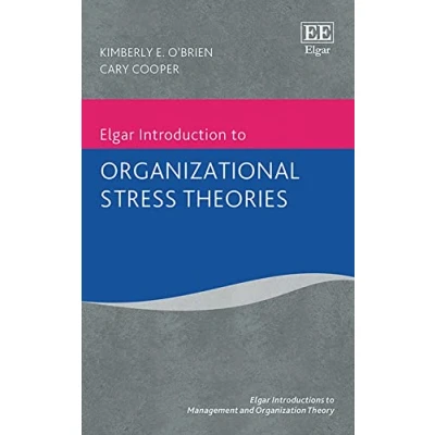 Afbeelding van Elgar Introductions to Management and Organization Theory series Introduction Organizational Stress Theories