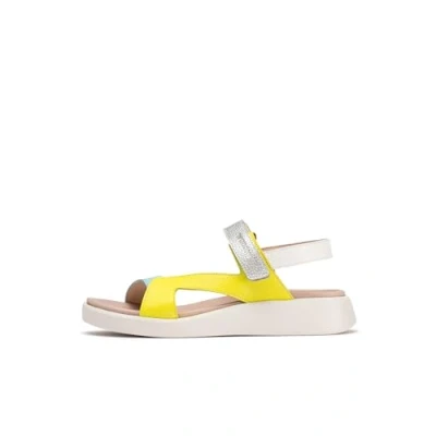 Afbeelding van Wonders Almeria Sandalen EU 36 Vrouw