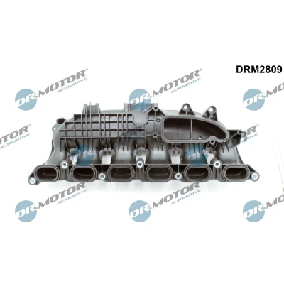 Afbeelding van Zuigbuismodule Dr.Motor Automotive DRM2809