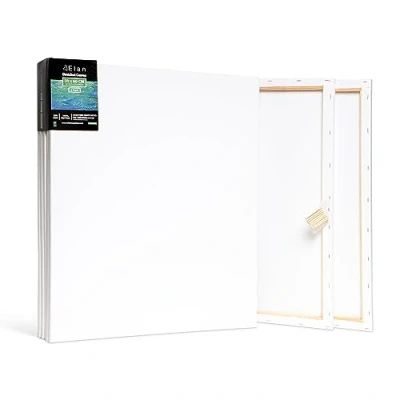 Afbeelding van Elan Schildersdoeken 50x60 CM, 6 Stuks Canvasdoeken 100% Katoenen Canvas voor Schilderen, Stretched Canvas, Painting Pre Primed Schilderdoek CM