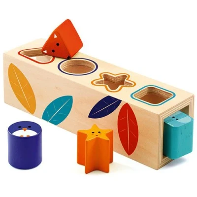 Afbeelding van Djeco houten vormen boita basic