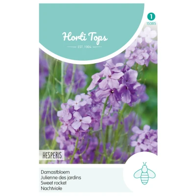 Afbeelding van Hortitops Hesperis Damastbloem Violet Bloemenzaden 1 g