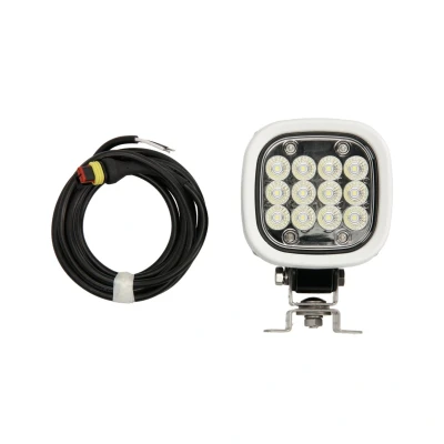Afbeelding van Werklamp WAS 1214 W130 8000