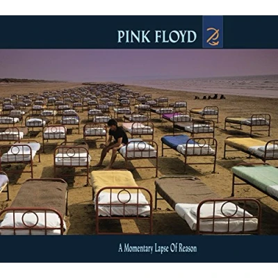 Afbeelding van Momentary Lapse of Reason