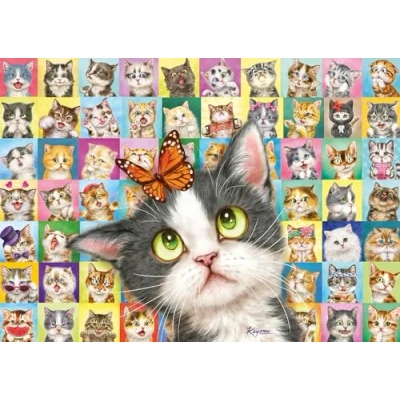Afbeelding van Schmidt Spiele 59759 Cat gezichtsuitdrukkingen, 1000 stukjes puzzel, kleurrijk