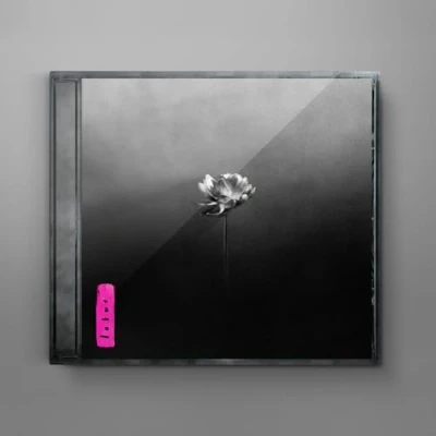 Afbeelding van Lotus
