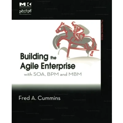 Afbeelding van Building the Agile Enterprise