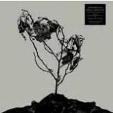 Afbeelding van Innerwoud &amp; Treha Sektori + (10&quot; LP) (Limited Edition)