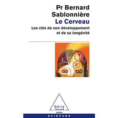 Afbeelding van Le cerveau