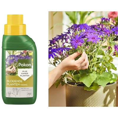 Afbeelding van Bloeiende kamerplanten voeding Pokon 250 ml