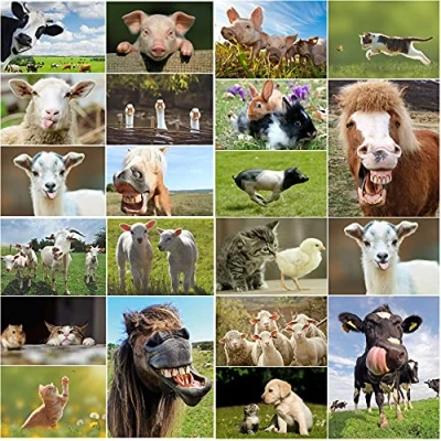 Afbeelding van Edition Colibri Ansichtkaarten, boerderijdieren, 20 stuks