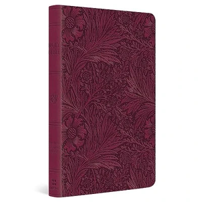 Afbeelding van ESV Value Thinline Bible