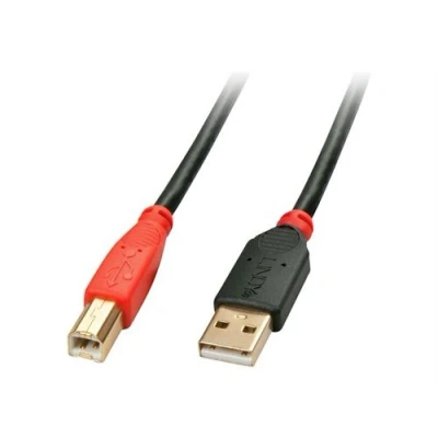 Image de Lindy Câble USB (M) pour type B 2.0 10 m actif