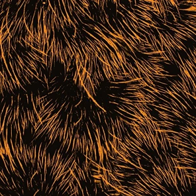 Afbeelding van Project Pablo Hope You&#039;re Well (2 12&quot; Vinyl Single)