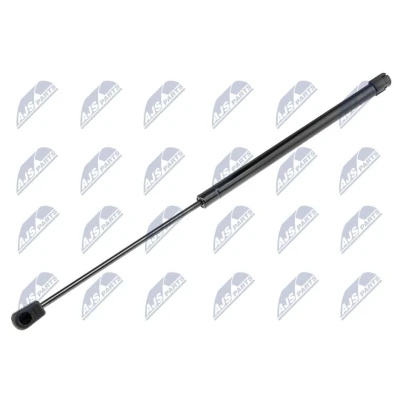 Afbeelding van NTY AE CH 013 Gasveer achterklep 125 452