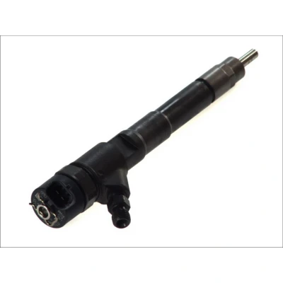 Afbeelding van Bosch Verstuiver/Injector 0 445 110 248