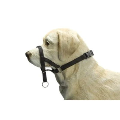 Afbeelding van Bz correctiehalsband voor honden zwart maat xl