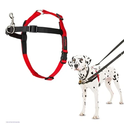 Afbeelding van Halti Harness Zwart MEDIUM (36734)