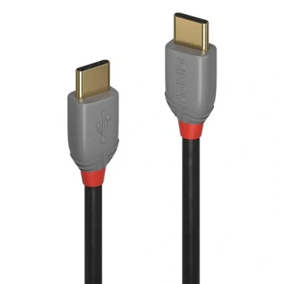 Image de Lindy Anthra Line Câble USB 24 pin C (M) pour 2.0 1 m