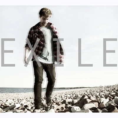 Afbeelding van Eamon McGrath Exile (LP)
