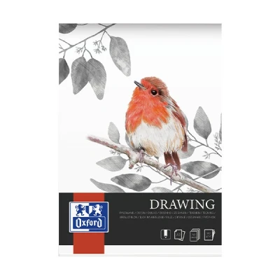 Image de Bloc dessin Drawing Art endossé A3 40p 160g Oxford