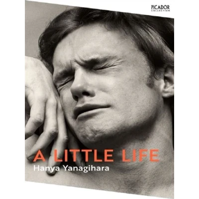 Image de A little life