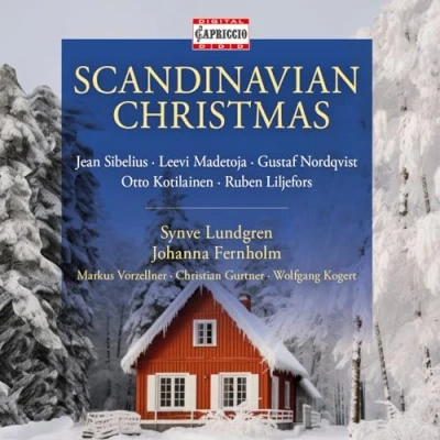 Afbeelding van Skandinavische Weihnachten
