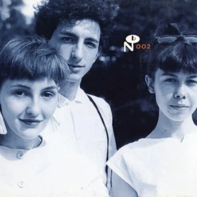 Afbeelding van Antena Camino Del Sol (2 LP) (Coloured Vinyl) (Limited Edition)