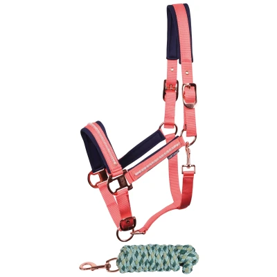 Image de Harry&#039;s Horse Ensemble Licol Valli Porcelain RoseVendu par Agradi