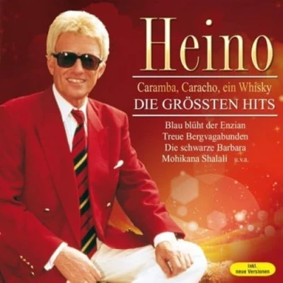 Afbeelding van Die Groessten Hits